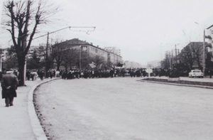 protestul stegarilor 15 noiembrie 1987