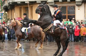 Trei persoane lovite de cai în timpul Paradei Junilor de la Braşov