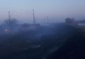 Incendiu de vegetatie uscata la balta Rotbav