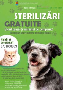 Campanie gratuită de sterilizare a câinilor și pisicilor, în Făgăraș